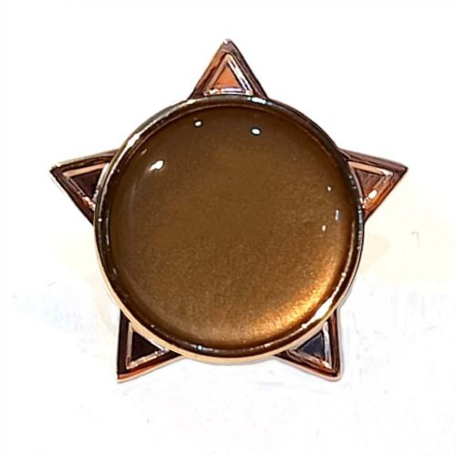 Bronze star badge
